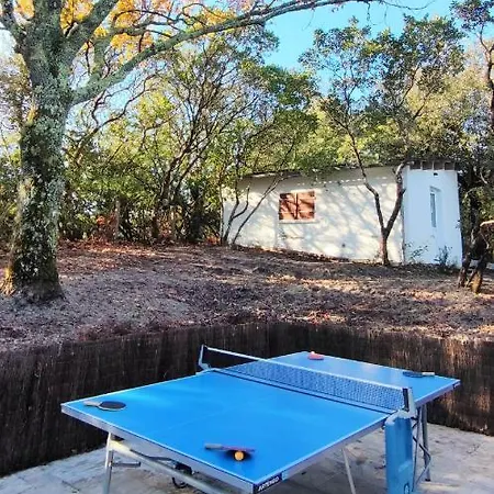 Maison Climatisee Avec Jardin * Carcans